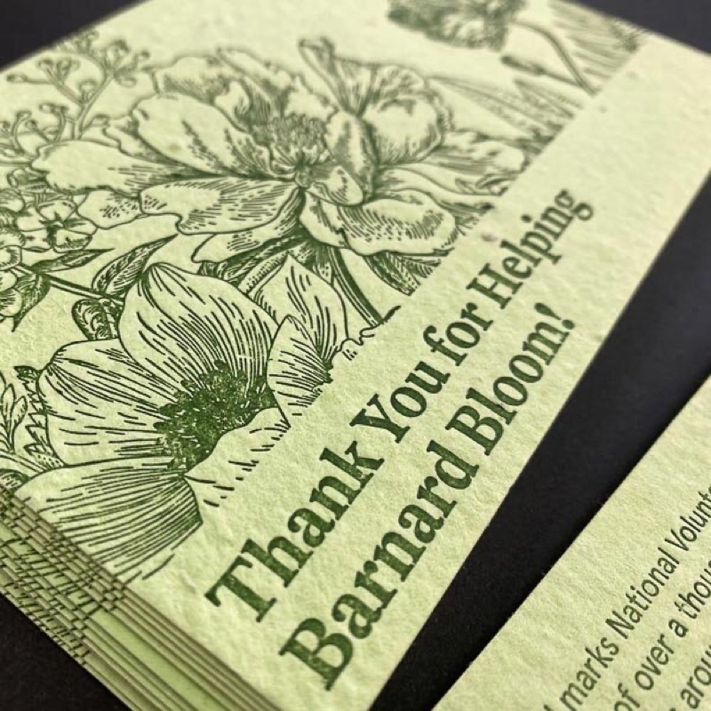 Letterpress postcards on recycled art paper
