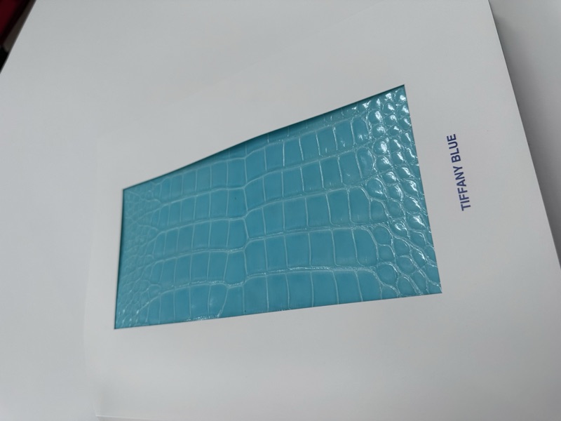 Book cover with Tiffany blue croc-embossed inlay